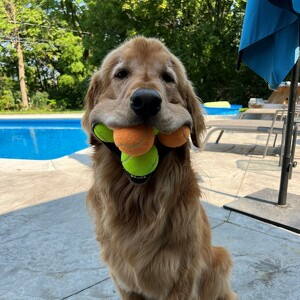 Fundraising Page: Finley Molloy